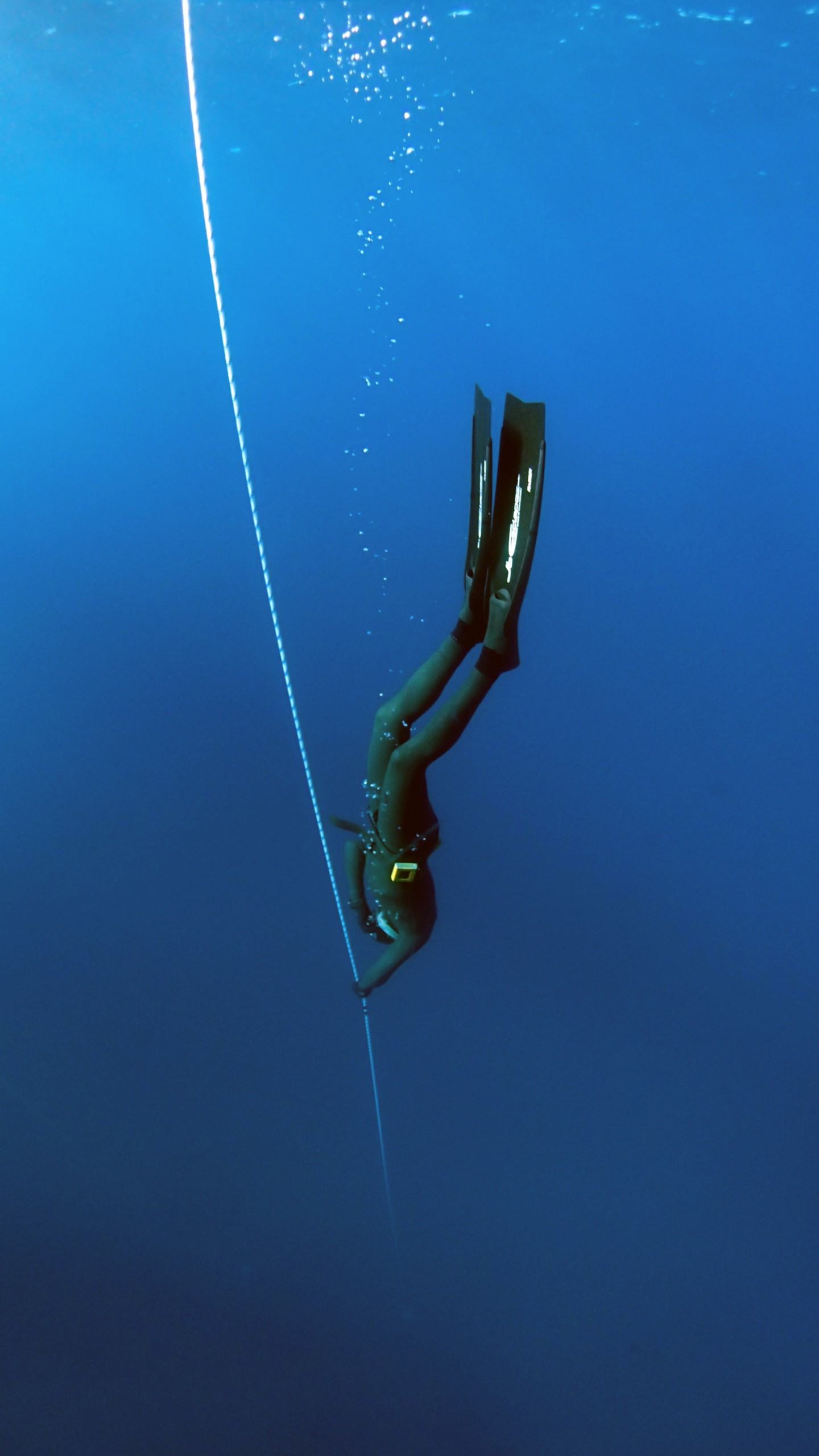 Free Diver L3